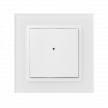 On-wall button controller - 2 buttons - RFWB-20/G photo
