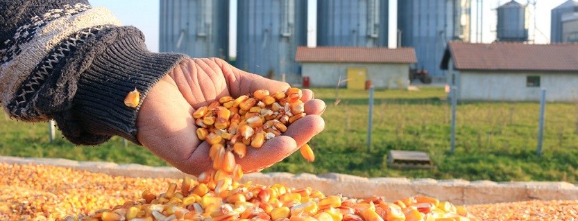 Silos, granaries, barns